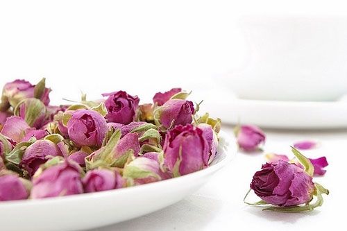 غنچه گل محمدی تازه