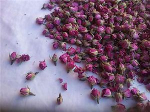 غنچه گل محمدی خشک