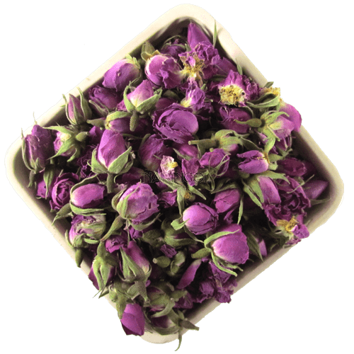 غنچه گل محمدی