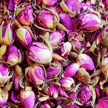 غنچه گل محمدی خشک