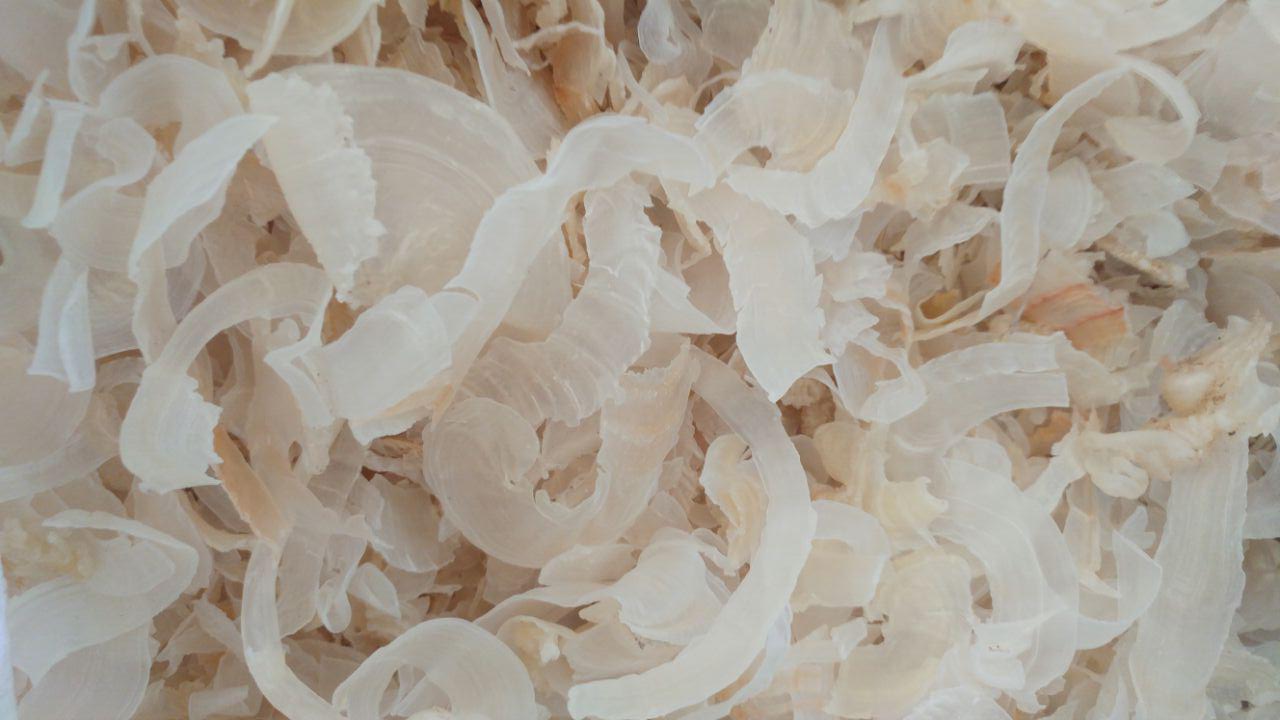 پخش کننده انواع کتیرا مفتولی