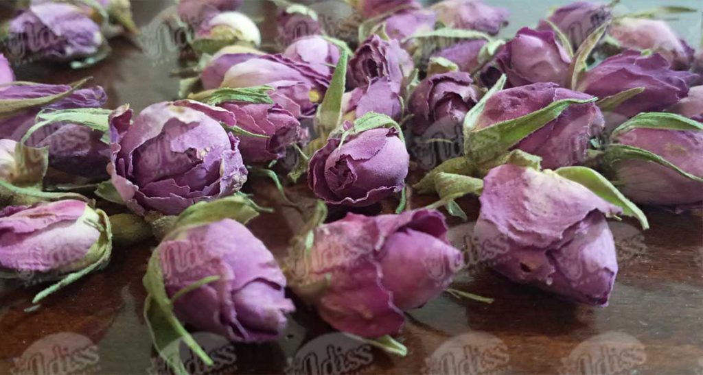 قیمت غنچه گل محمدی